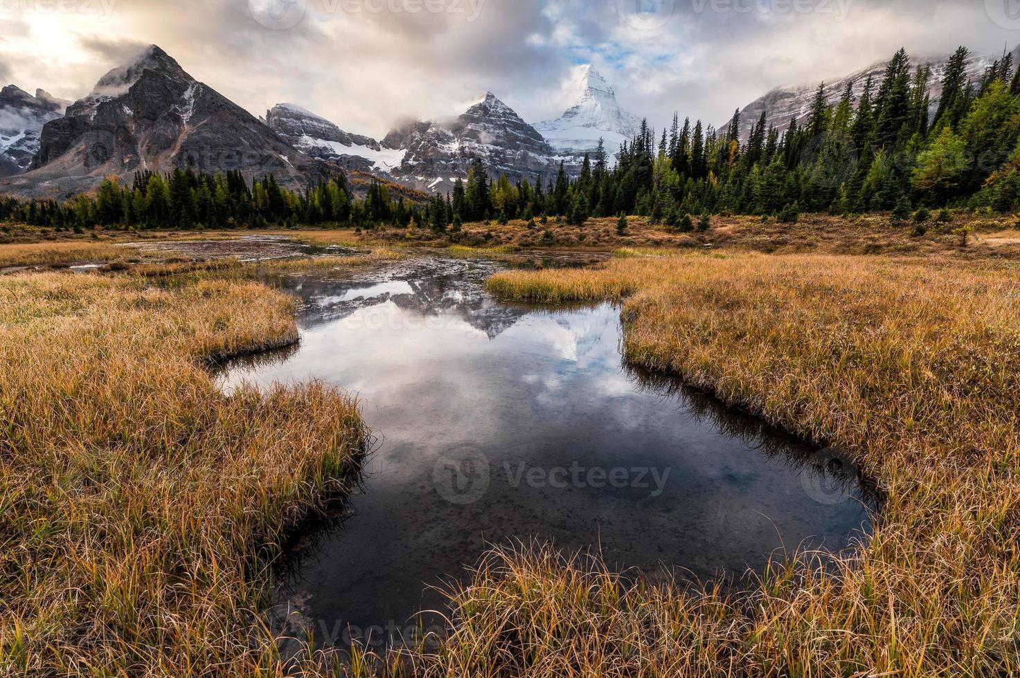 montera assiniboine reflektion i damm på gyllene äng i provinsparken foto