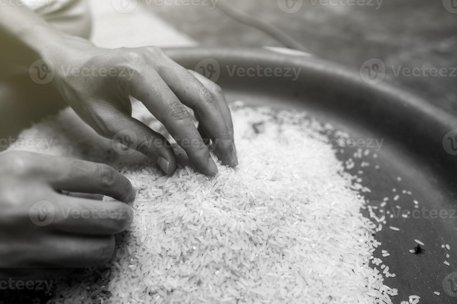 global matkris koncept. kvinna hand som håller ris i plastbricka. okokt malet vitt ris. fattiga och fattigdom koncept. mänsklig katastrof i global matkris effekter av klimatförändringar och krig. foto