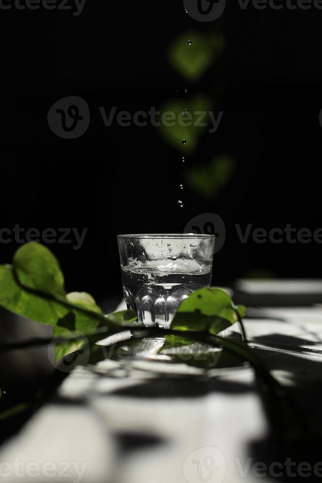 mousserande vatten hälls i ett glas mot en svart bakgrund. ett glas vatten på en mörk bakgrund bland de gröna bladen. ekokoncept foto