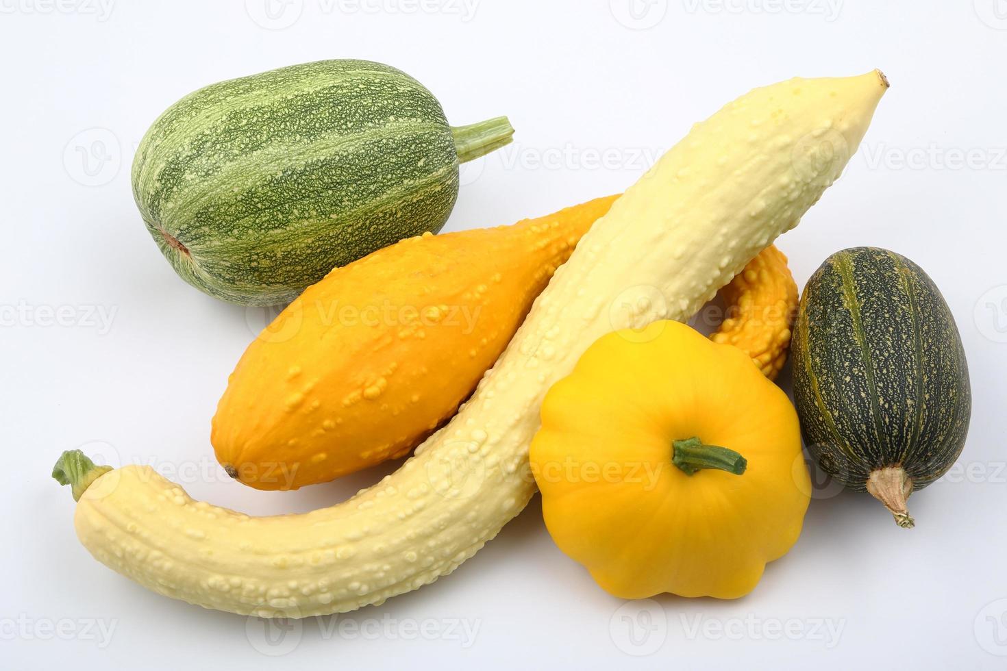squash och zucchini foto