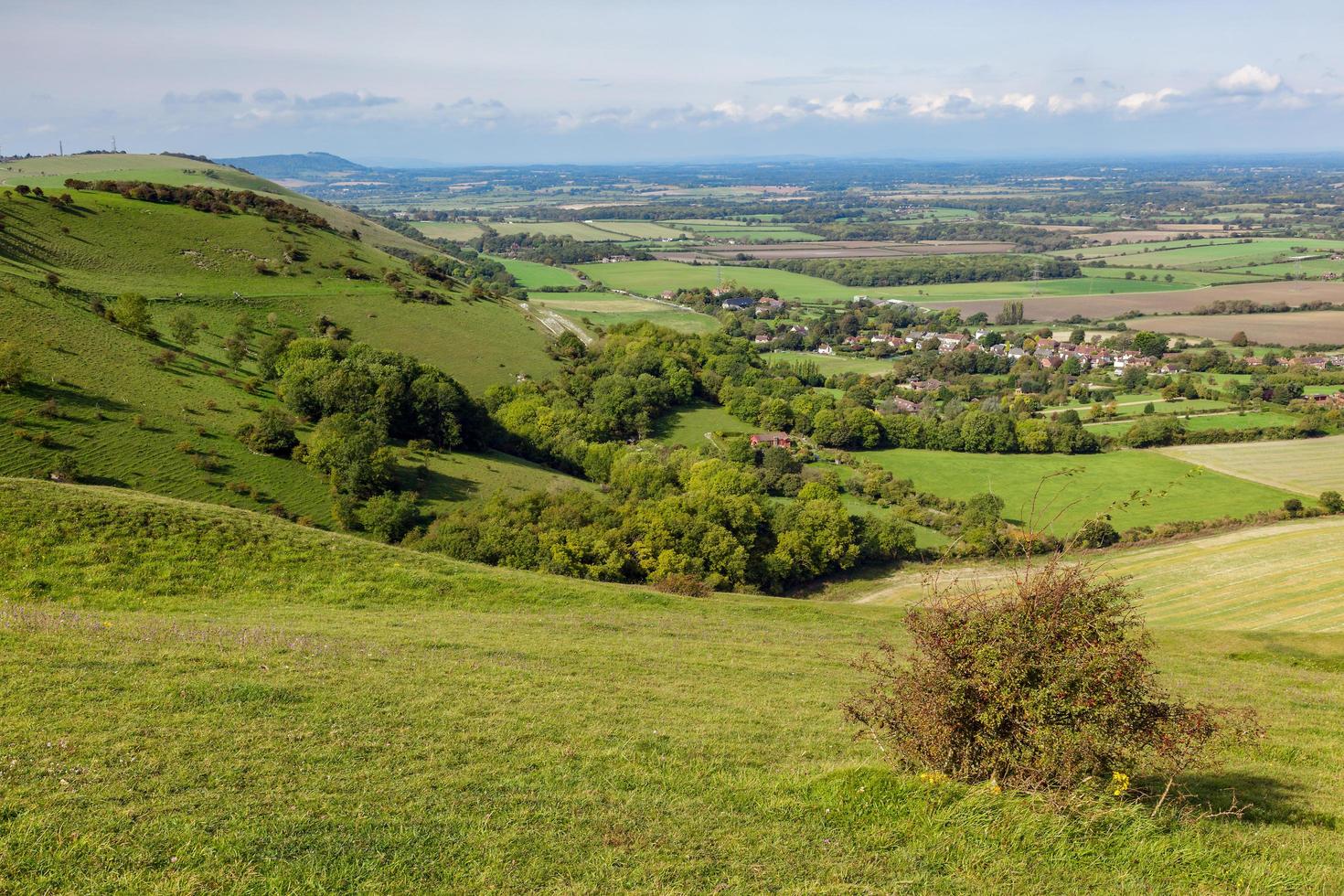 gröna böljande kullar på landsbygden i Sussex foto