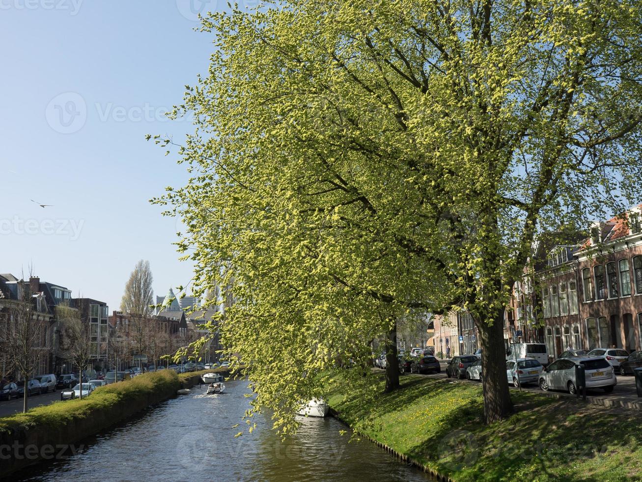 staden haarlem i nederländerna foto