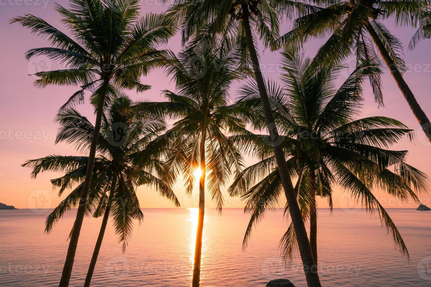 siluett kokospalmer vid solnedgång eller soluppgång himmel över havet fantastiskt ljus natur färgstarkt landskap vackert ljus natur himmel och moln foto