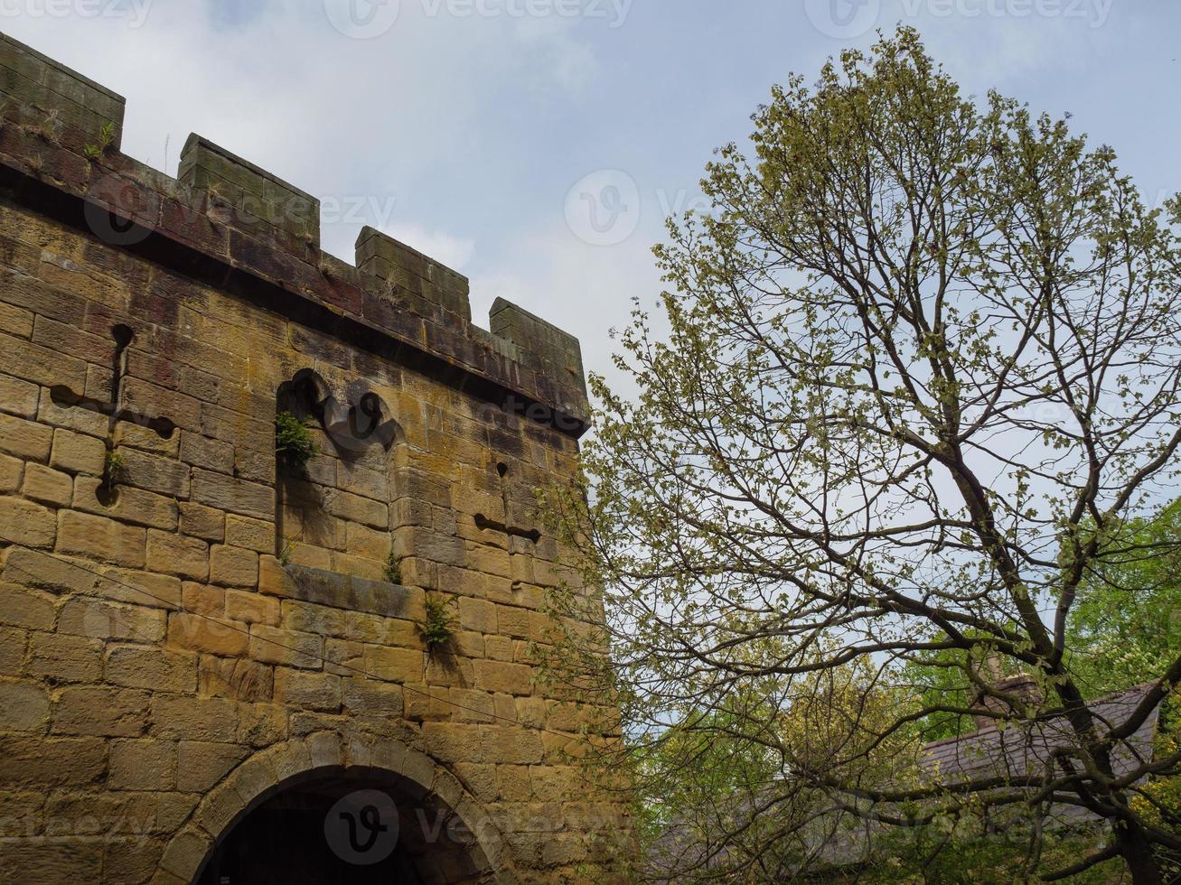 trädgård och kustlinje nära newcastle i england foto