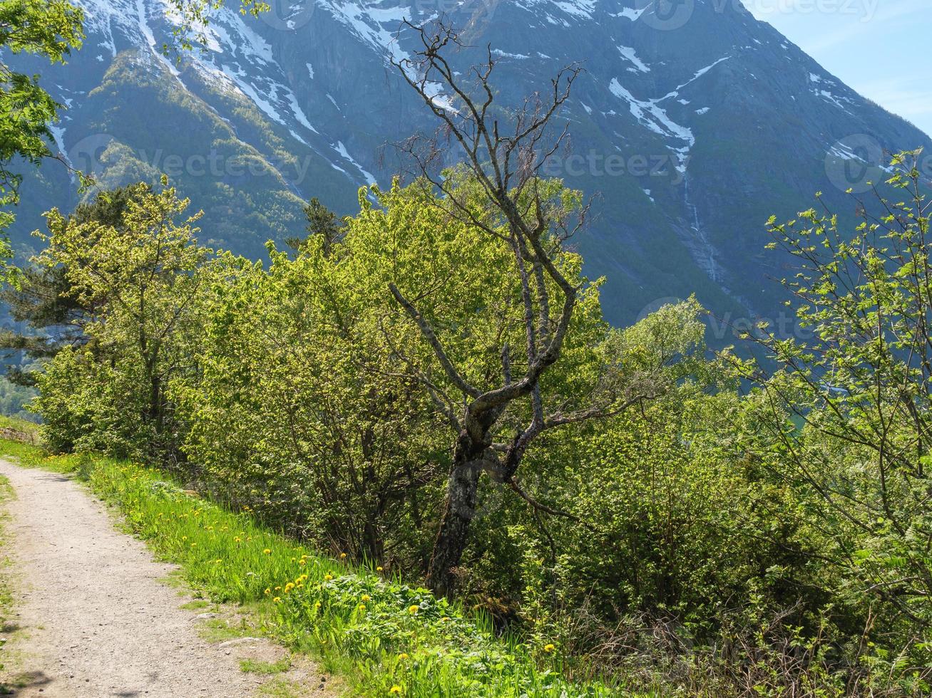 den lilla byn eidfjord i den norska hardangerfjorden foto