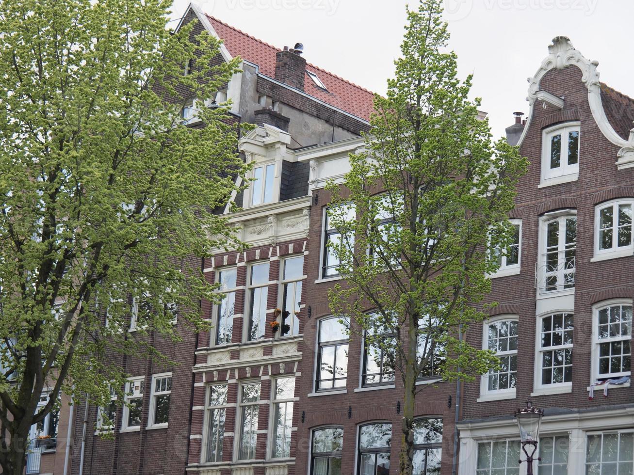 den holländska staden amsterdam foto