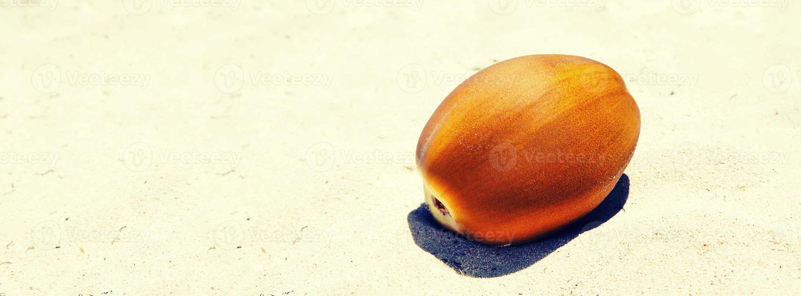 sommar kokos cocktail på stranden. solig dag på aktuell ö. foto