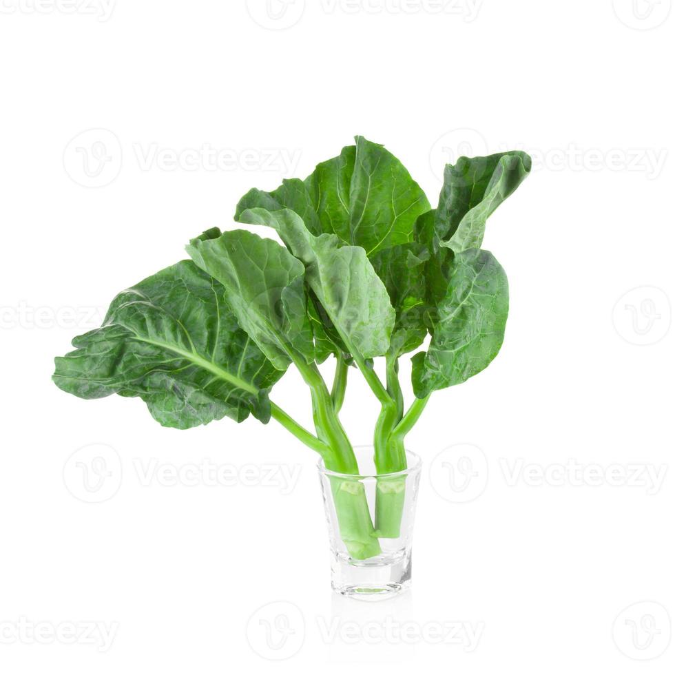 kinesisk broccoli på vit bakgrund foto