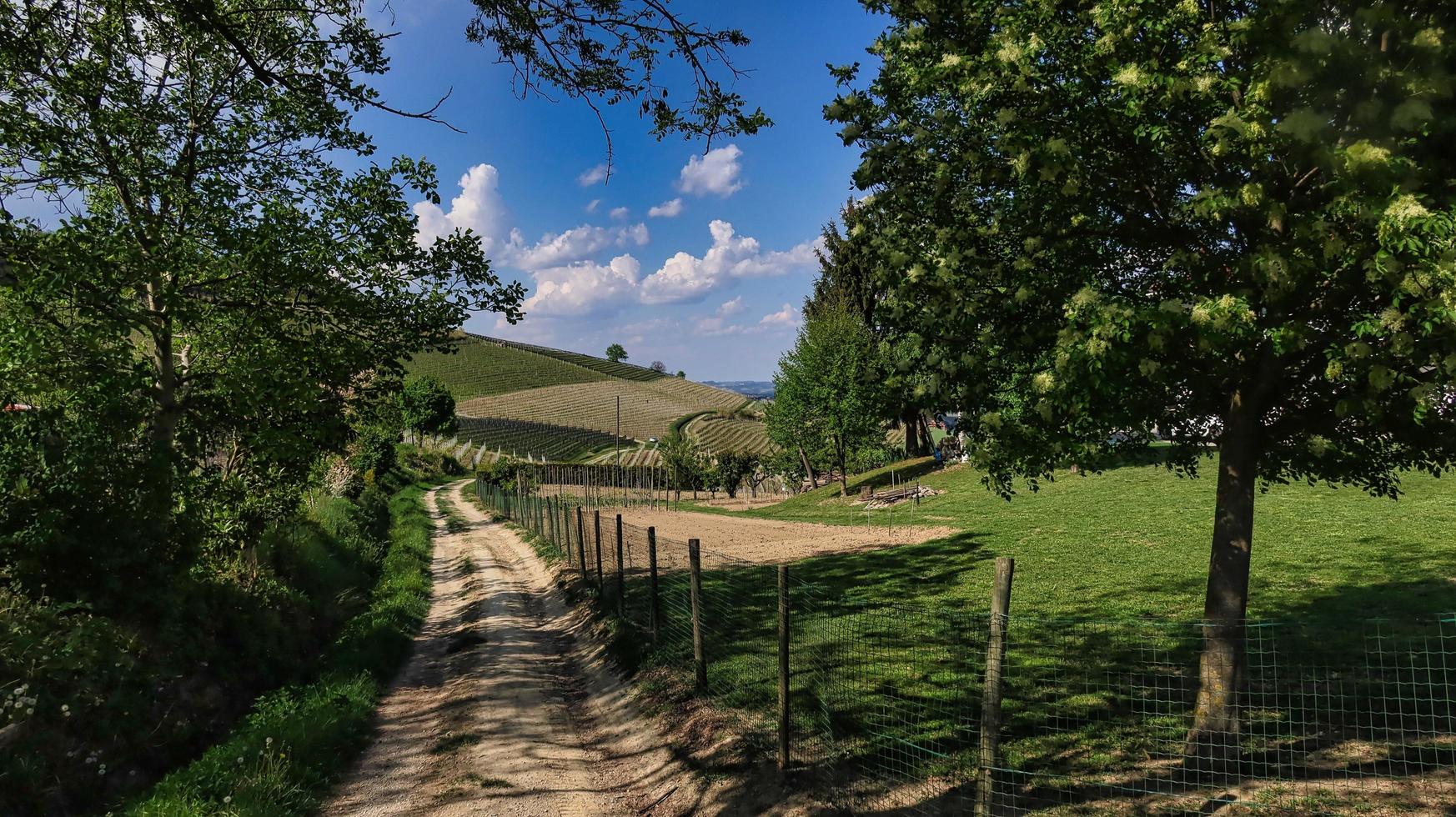 landskap av den piemontesiska langhe of barolo och monforte d'alba, under våren 2022 foto