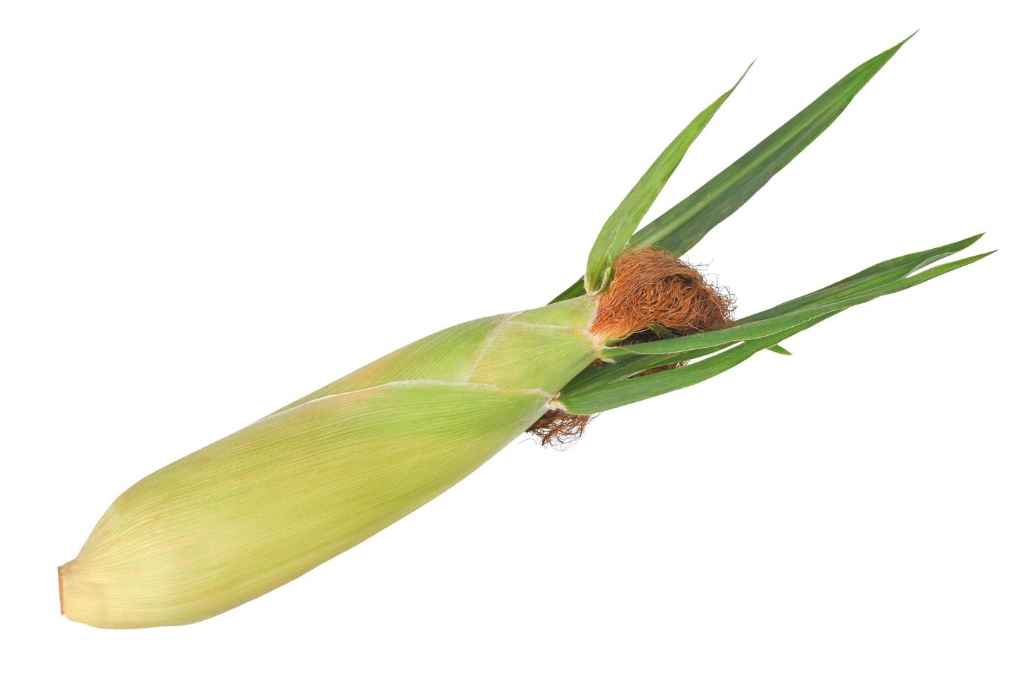 färsk majs med blad som isolerad på vit bakgrund foto
