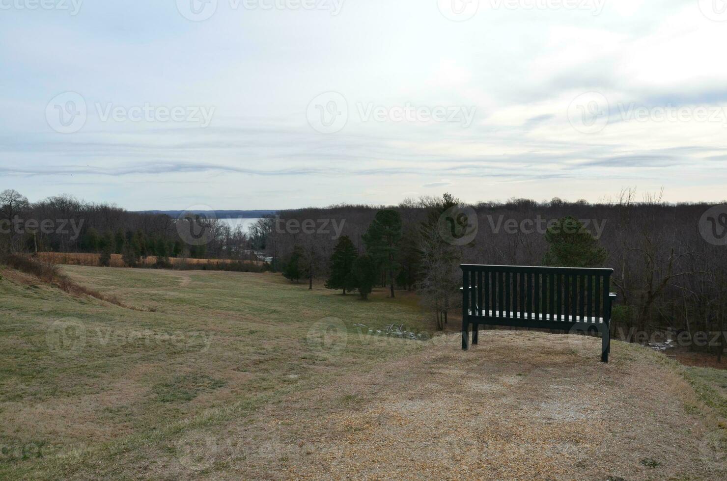 bänk eller stol på gräskulle med utsikt över skogen och floden Potomac foto