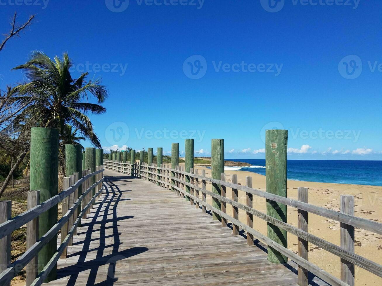 trä strandpromenad eller stig med träd på stranden i isabela, puerto rico foto