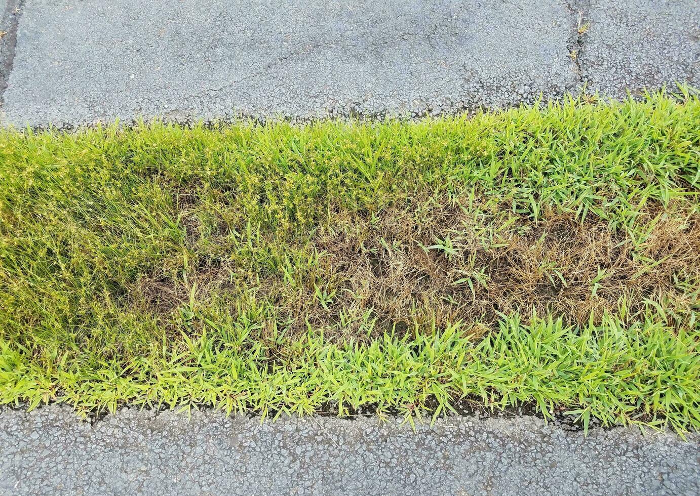 svart asfalt med en remsa av grönt gräs foto