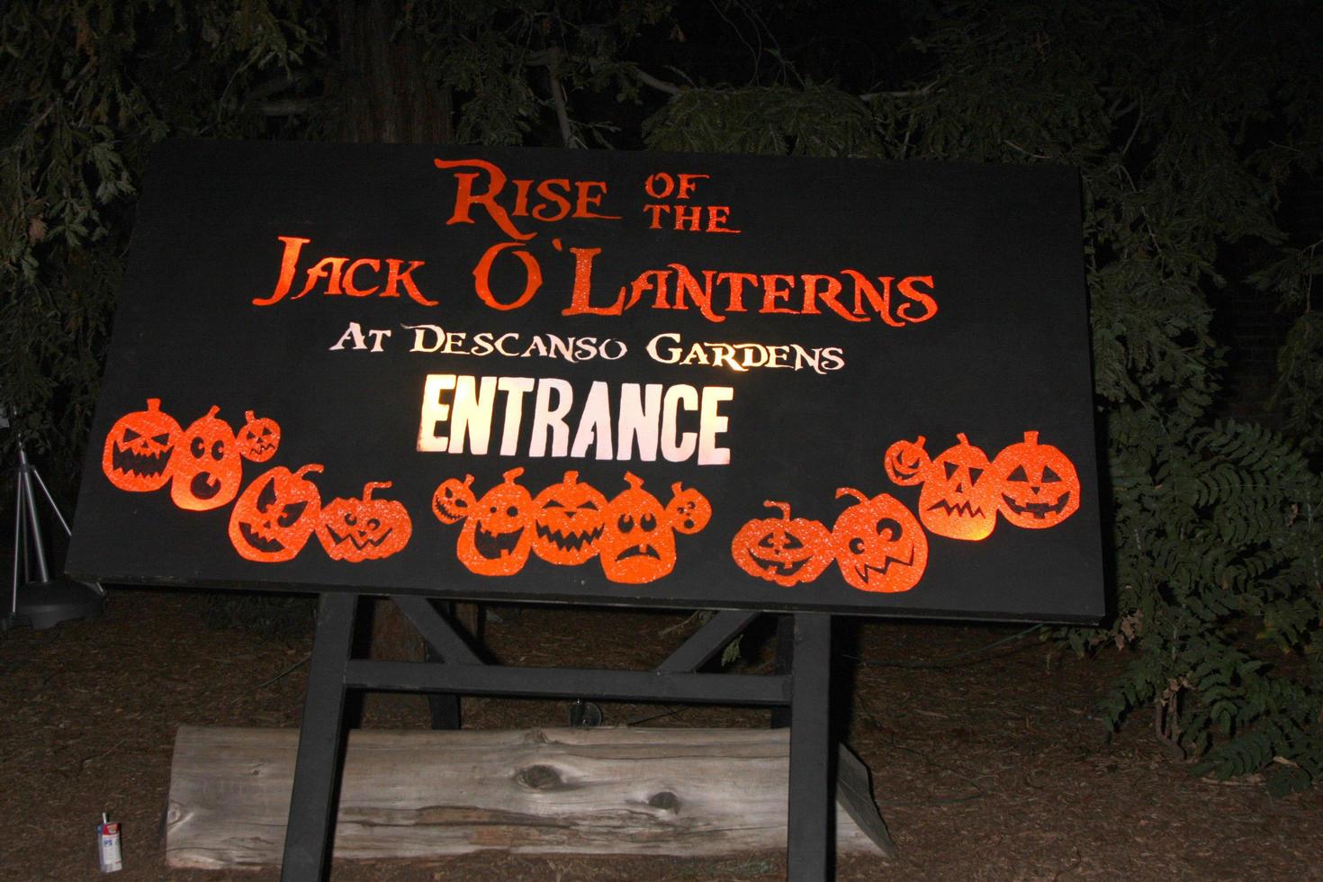 los angeles 4 oktober - atmosfär vid uppkomsten av jack o lanterns på descanso gardens den 4 oktober 2014 i la canada flintridge, ca foto