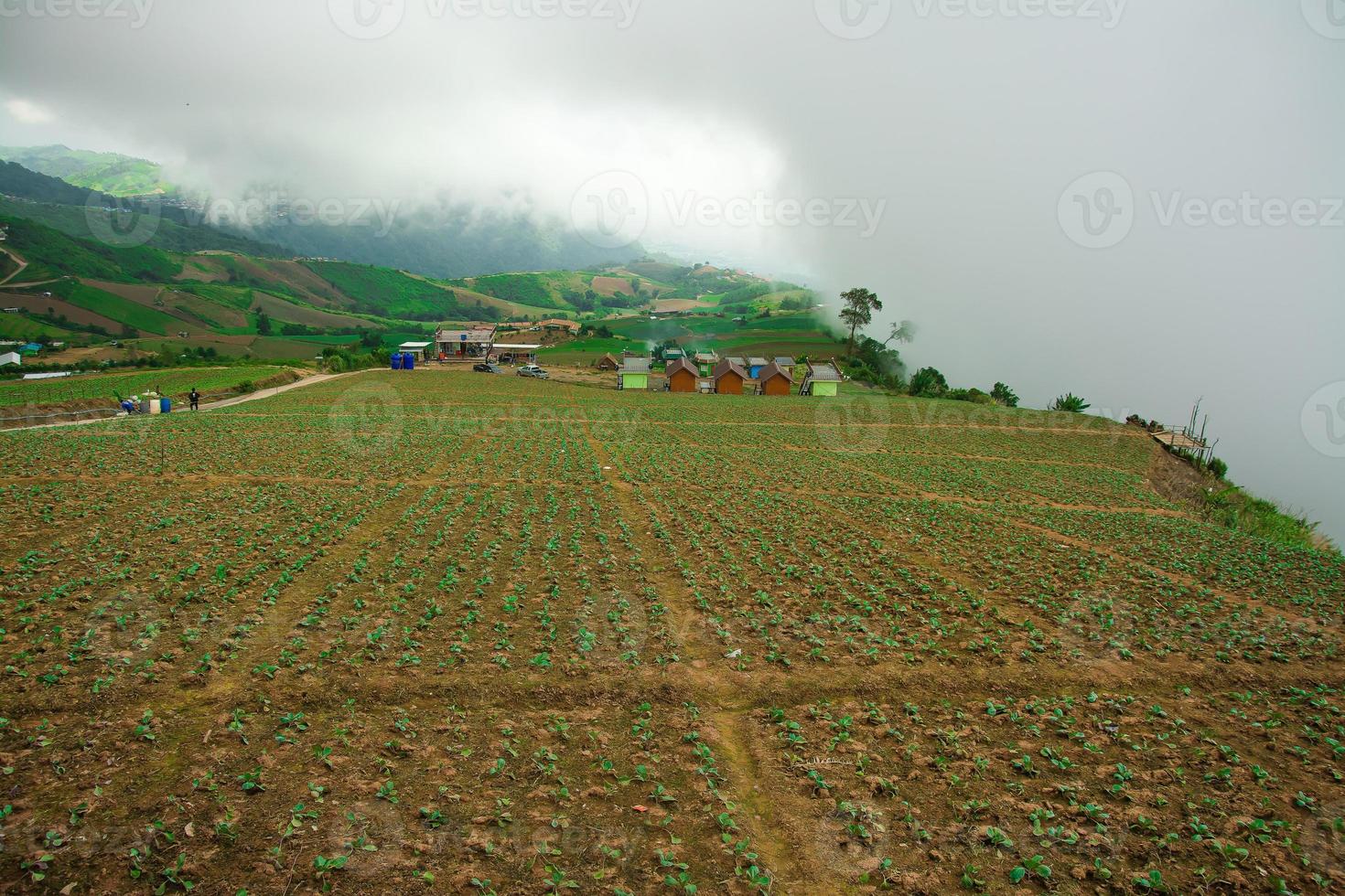 landskap av jordbruksområde på berg, i thailand foto