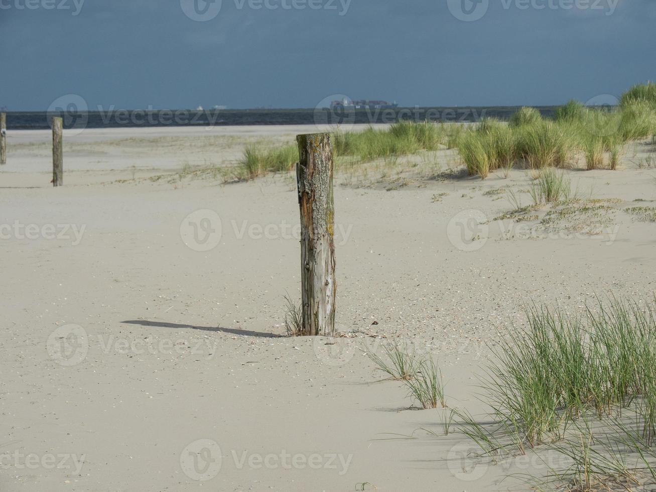 ön spiekeroog i tyskland foto