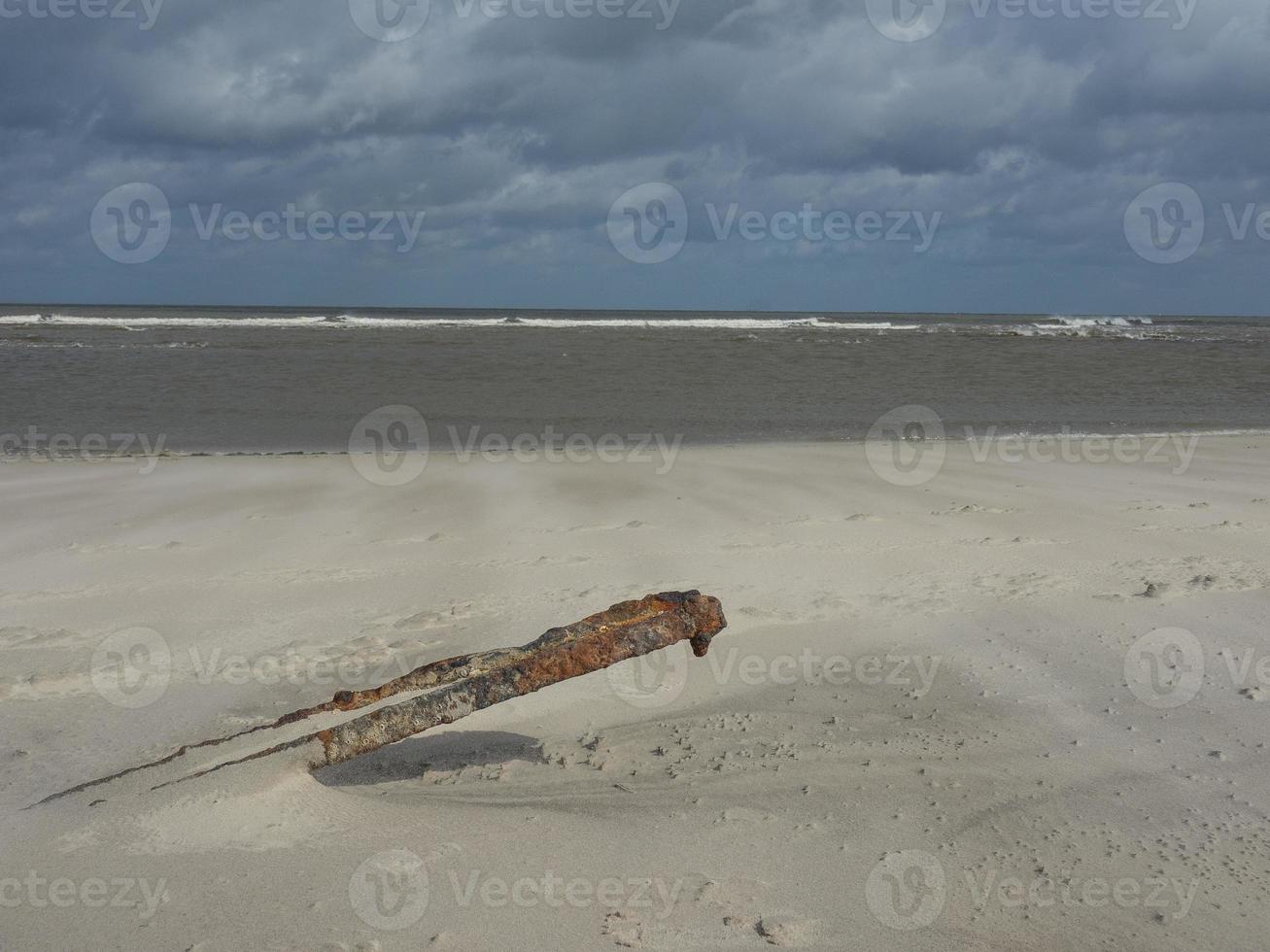 ön spiekeroog i tyskland foto