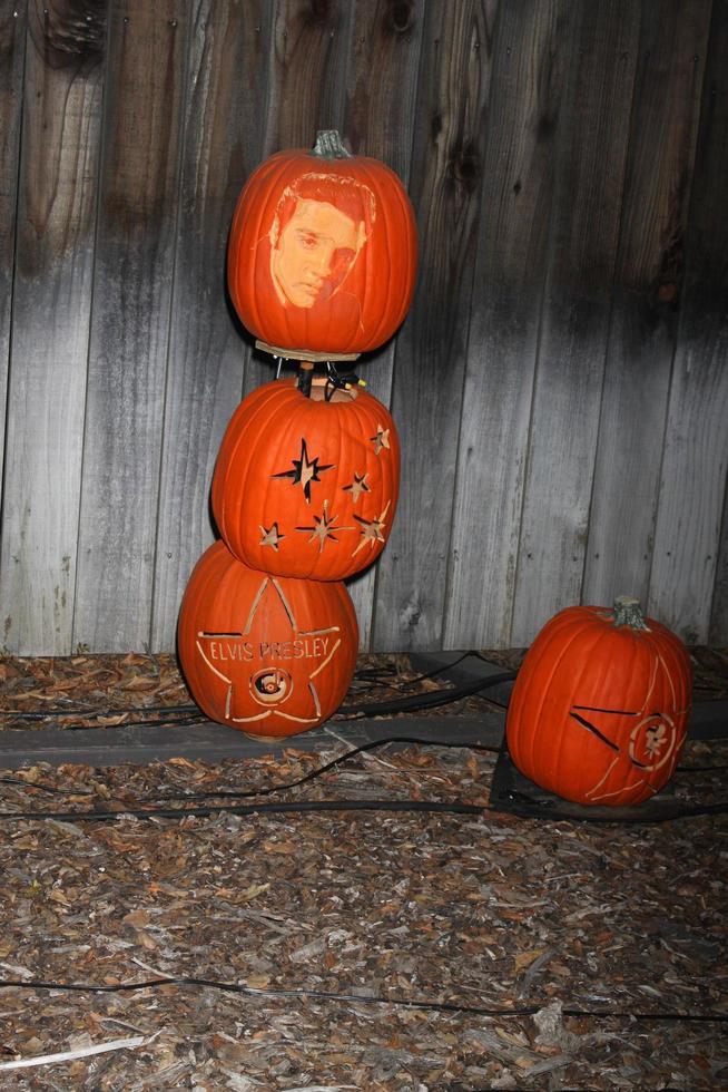 los angeles, 4 oktober - elvis presley snidade pumpa vid uppkomsten av jack olanterns vid descanso trädgårdar den 4 oktober 2014 i la canada flintridge, ca foto