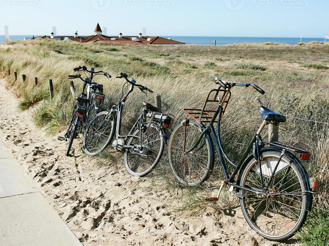 cyklar vid havet nederländerna foto