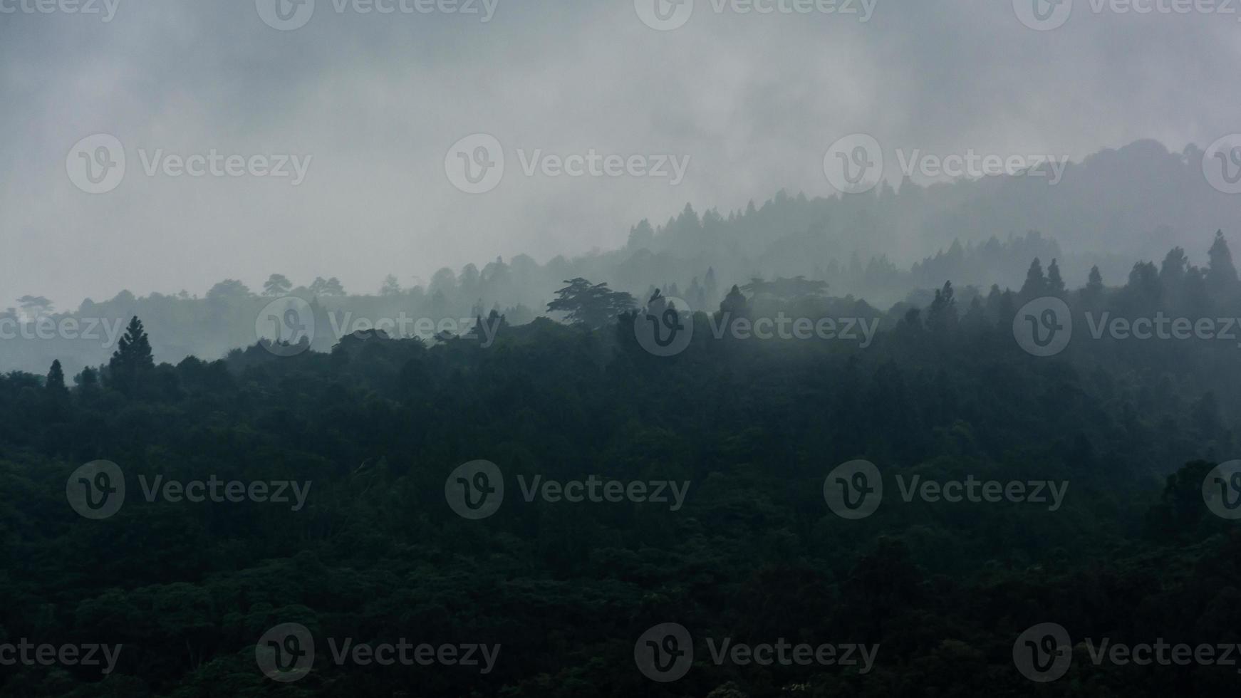 landskap av regnskog i thailand foto