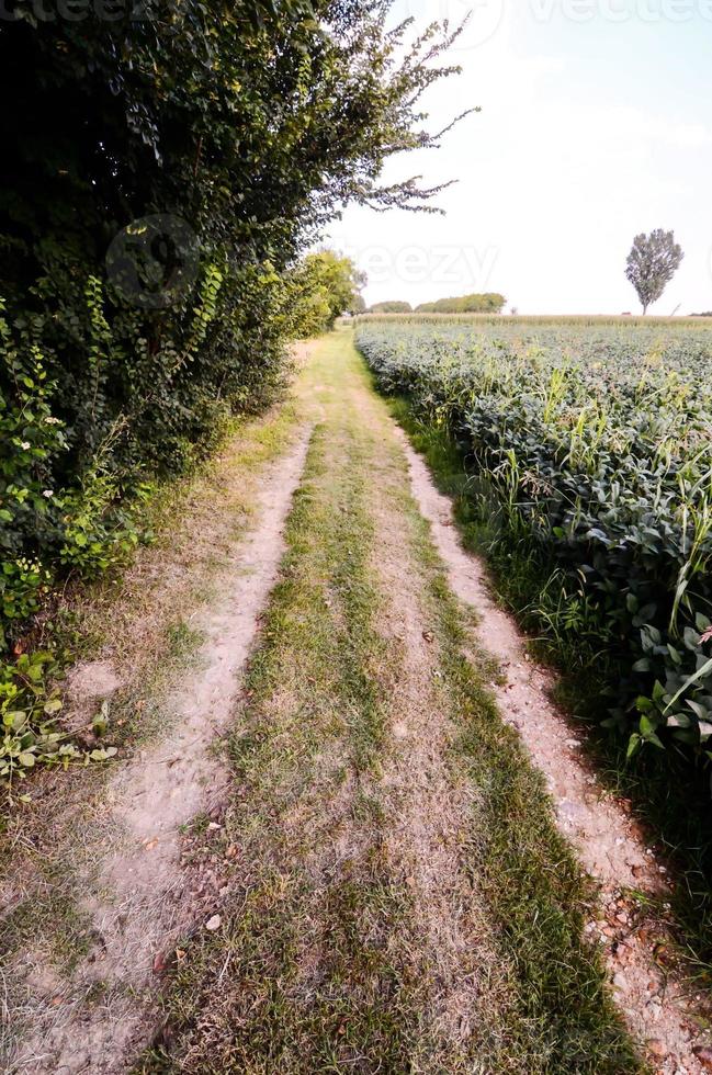 landsbygden smutsig väg foto