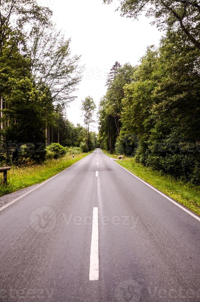 europeisk asfaltskogsväg foto