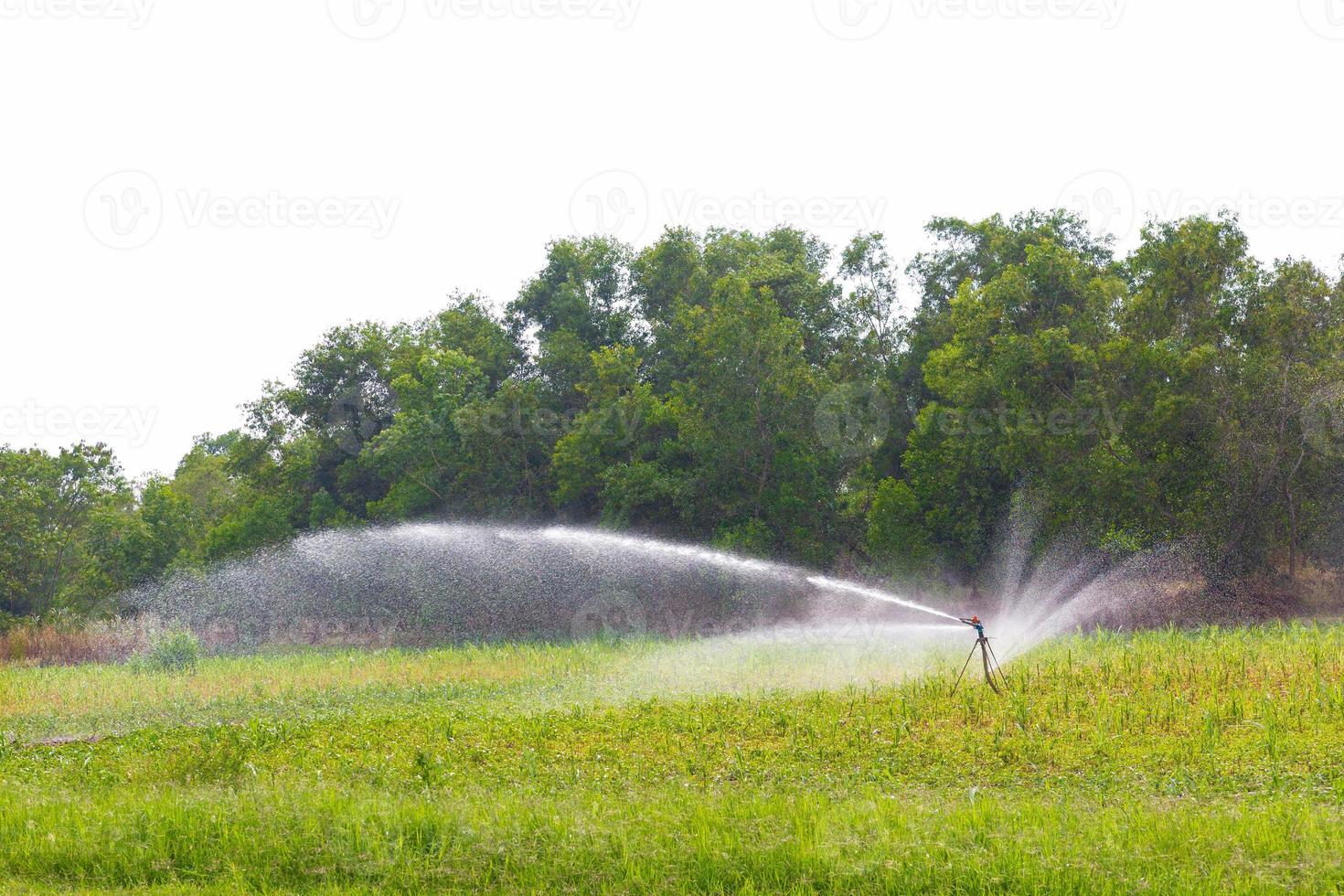 jordbruksbevattningssystem som vattnar gården på en vit bakgrund foto