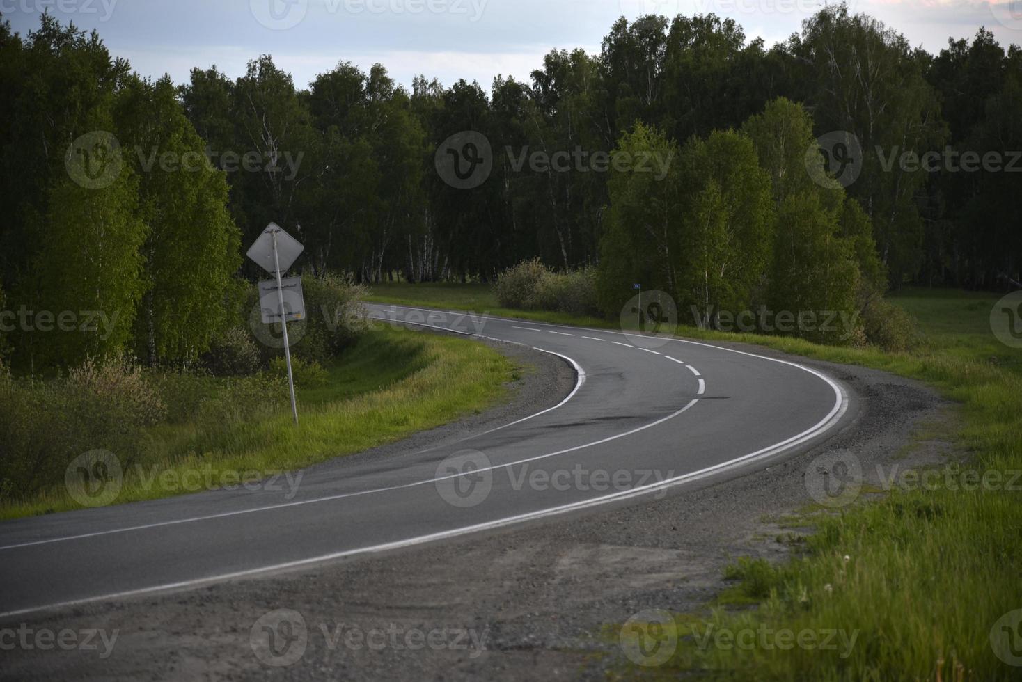 asfalterad väg i skogen på kvällen foto