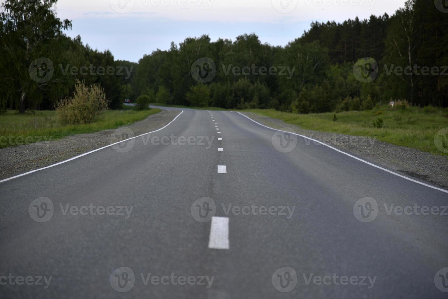 asfalterad väg i skogen på kvällen foto