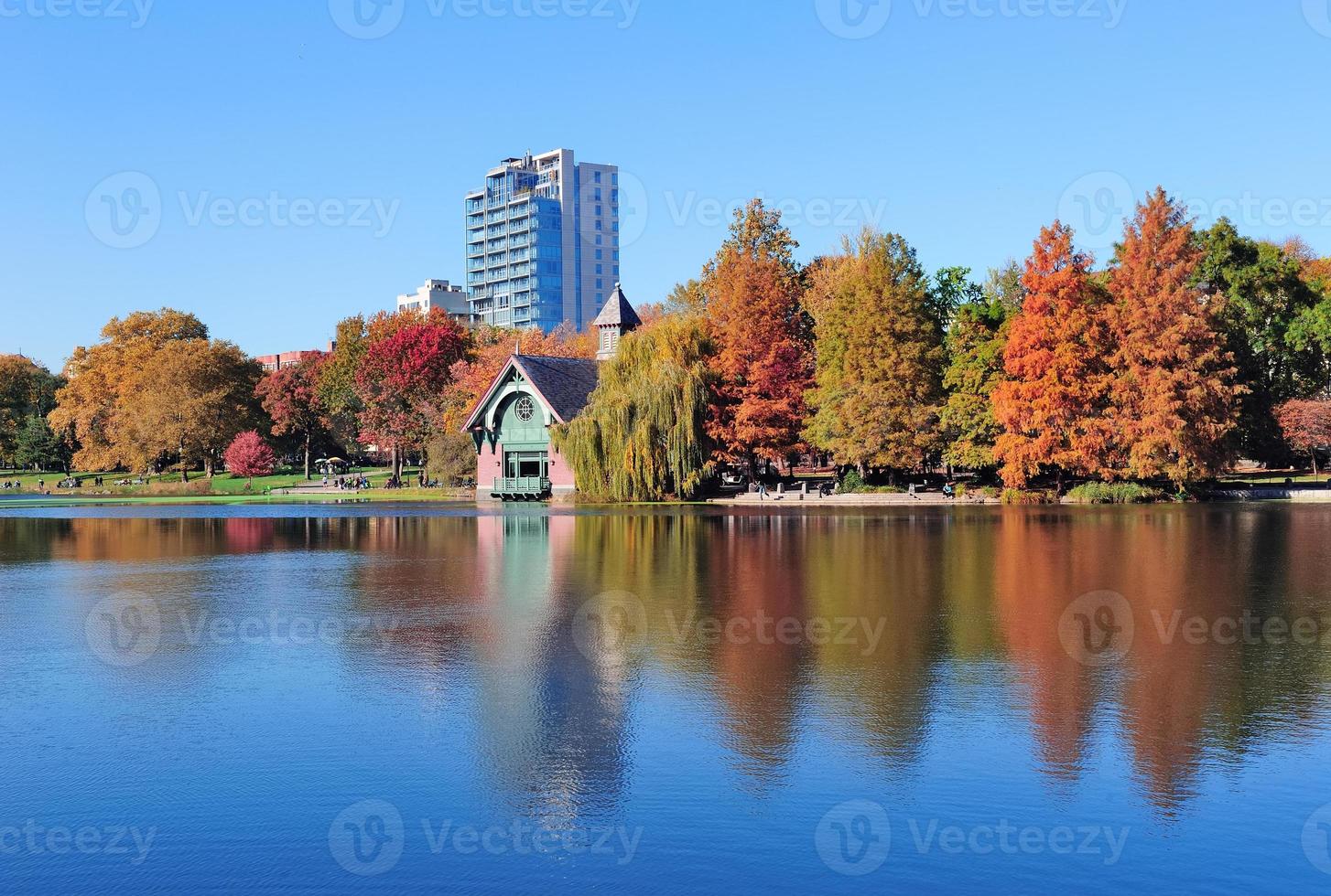 new york city central park höst foto