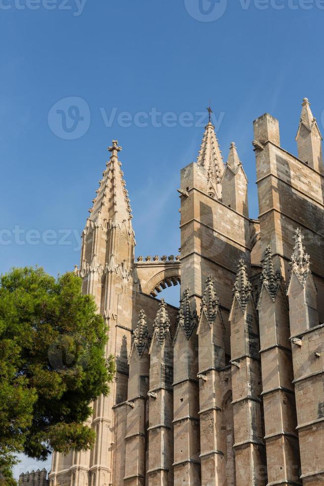 kupolen i Palma de Mallorca, Spanien foto