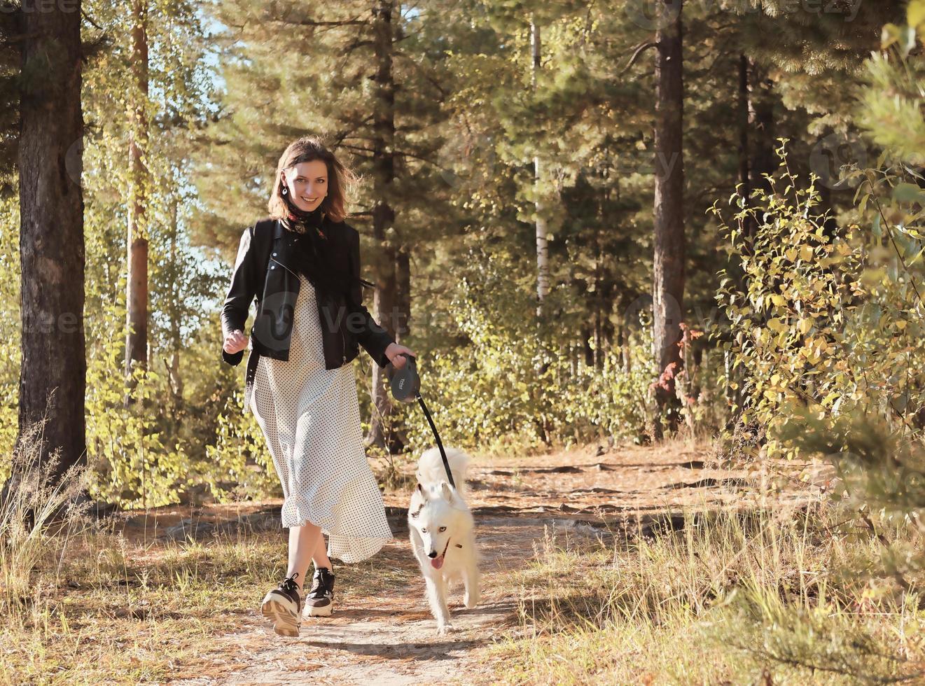 ung kvinna springer i skogen med en hund. solig höstdag. leende kvinna klädd i klänning och en jacka tittar på kameran och har kul med vit yakutisk laika när hon går i en park. foto