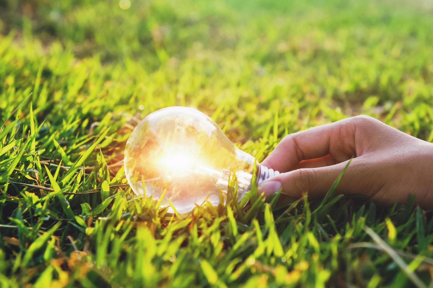hand som håller glödlampa på grönt gräs med solnedgång bakgrund. konceptet ren energi foto