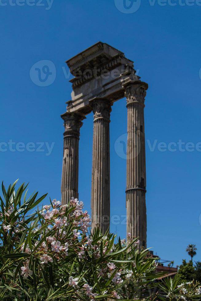 romerska ruiner i rom, forum foto