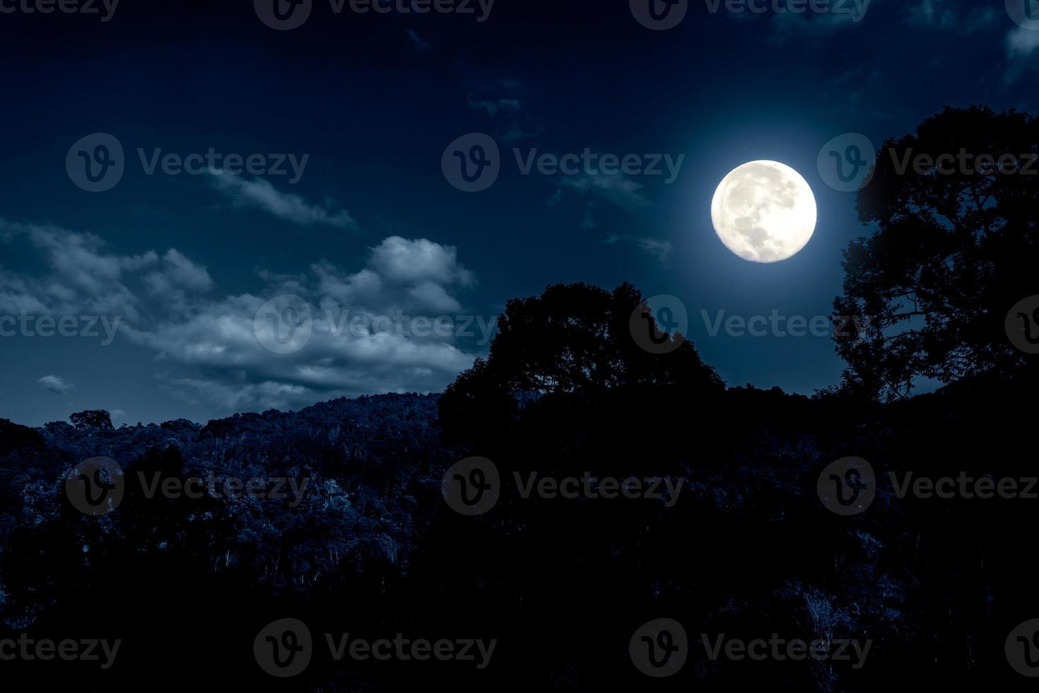 nattlandskap i fprest med fullmåne och moln foto