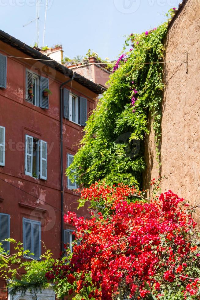 Trastevere-distriktet, Rom foto