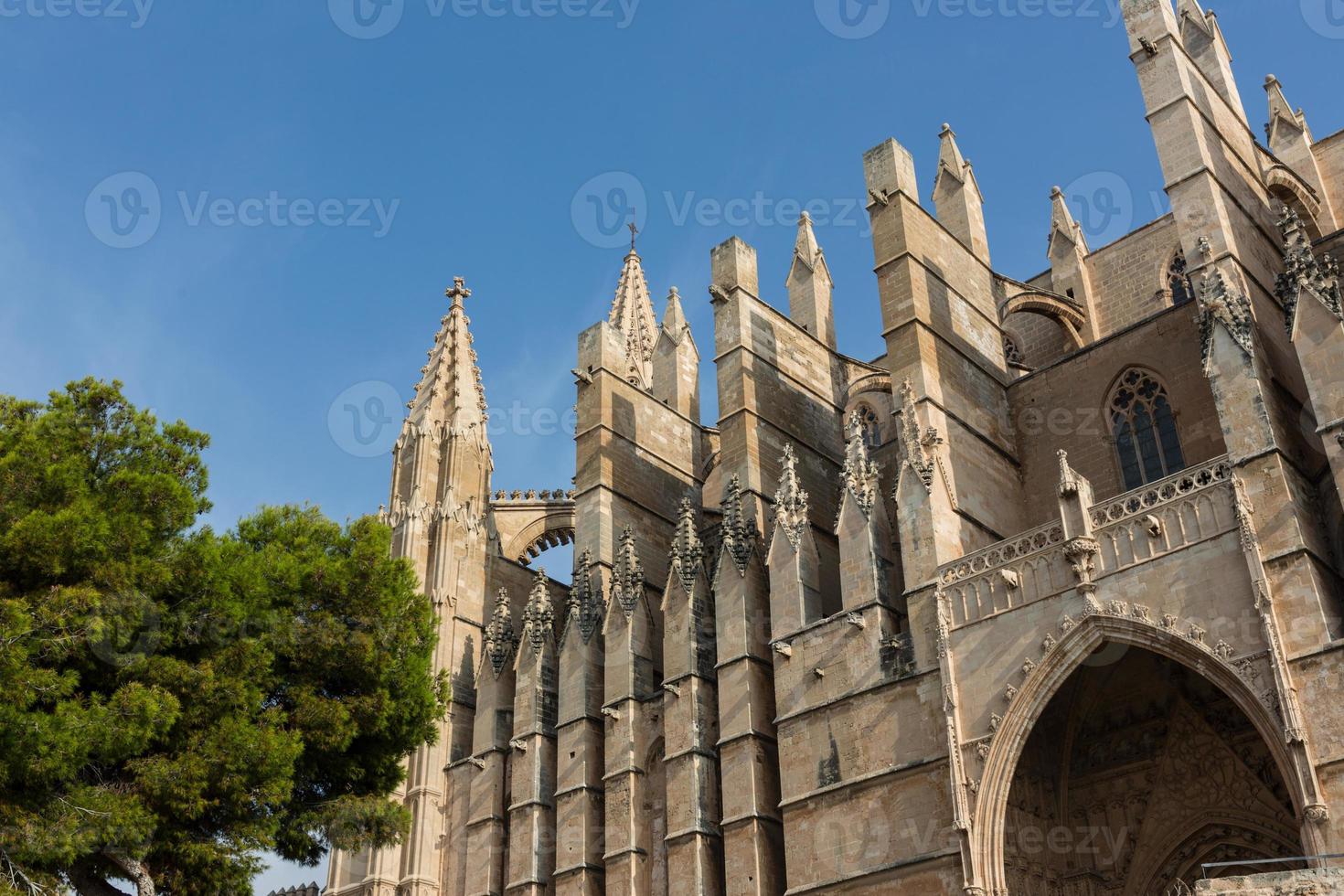 kupolen i Palma de Mallorca, Spanien foto