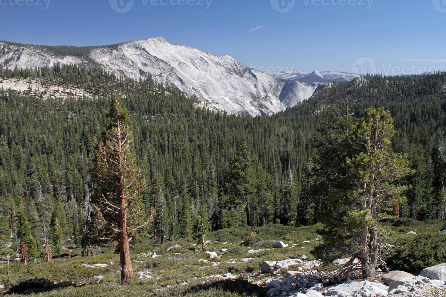 utsikt över bergen i Yosemite nationalpark foto