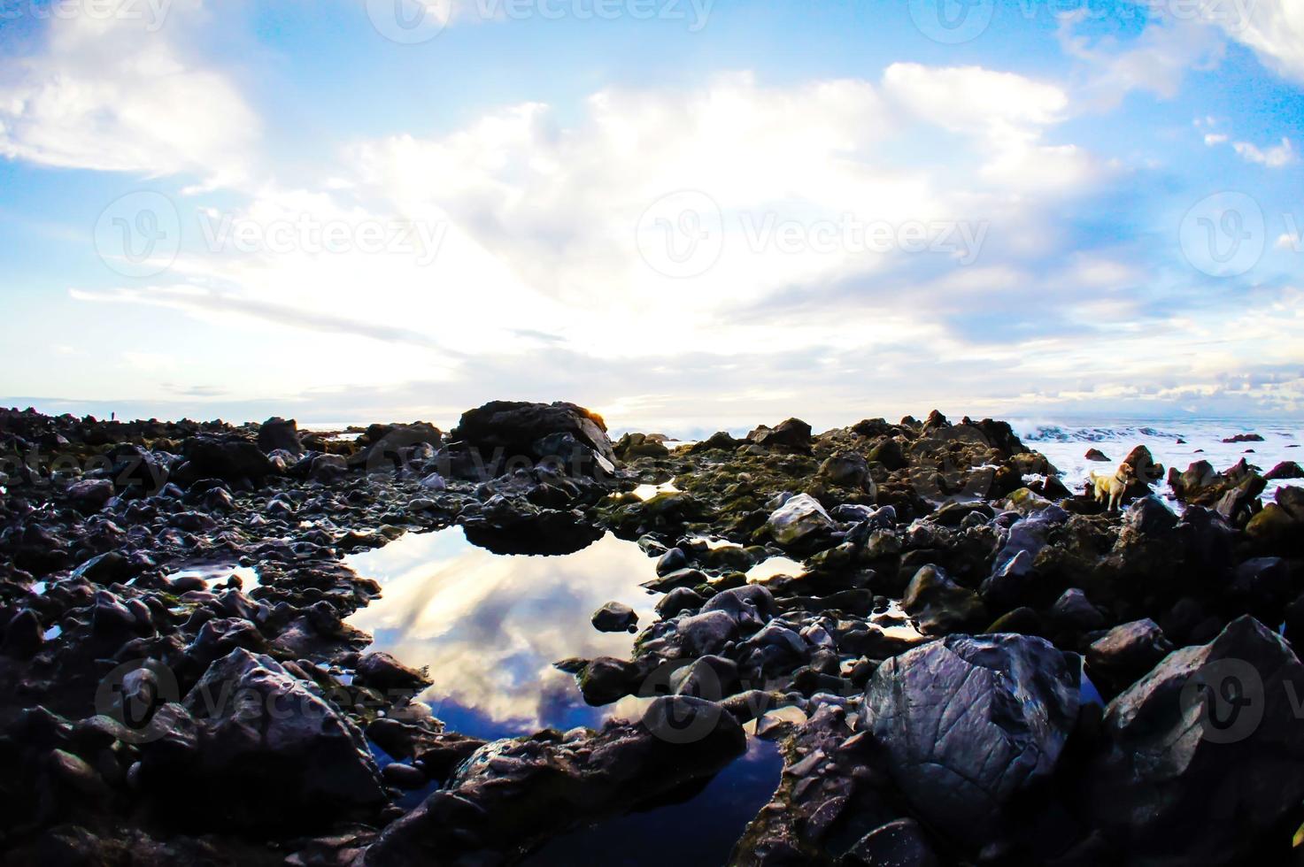 tropisk strand solnedgång foto