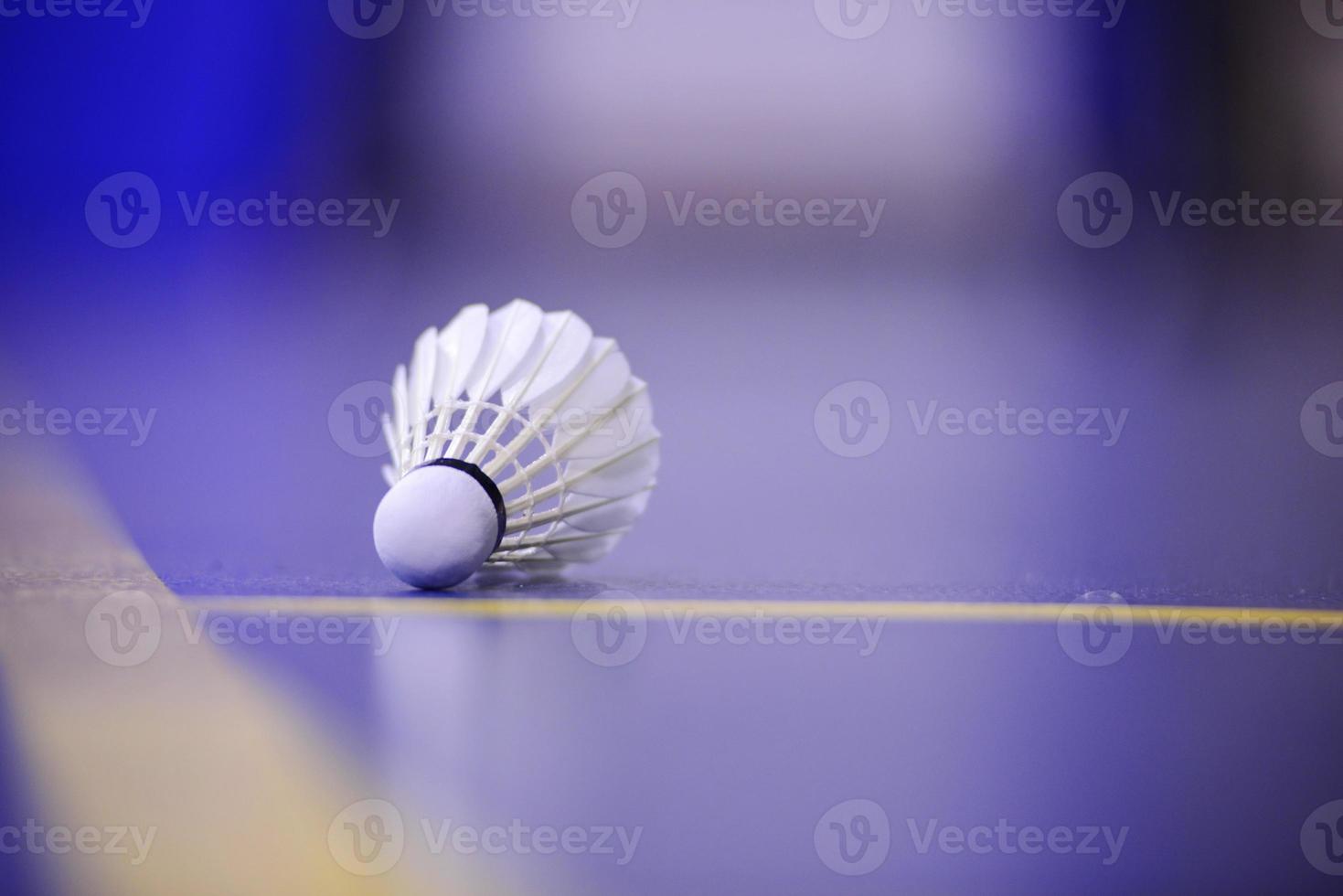 badminton domstol foto