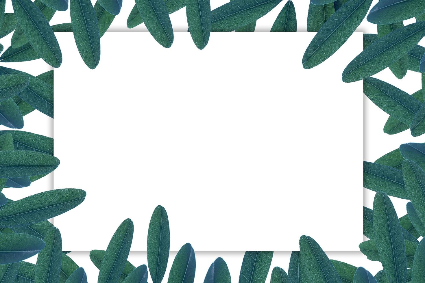tropiska gröna blad textur bakgrund med vitt papper kort anteckning. foto