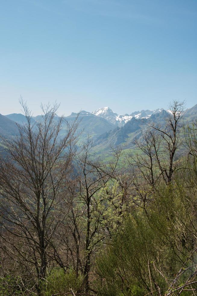 vacker utsikt över naturparken las ubinas och la mesa, i asturien. berg med snö i bakgrunden foto