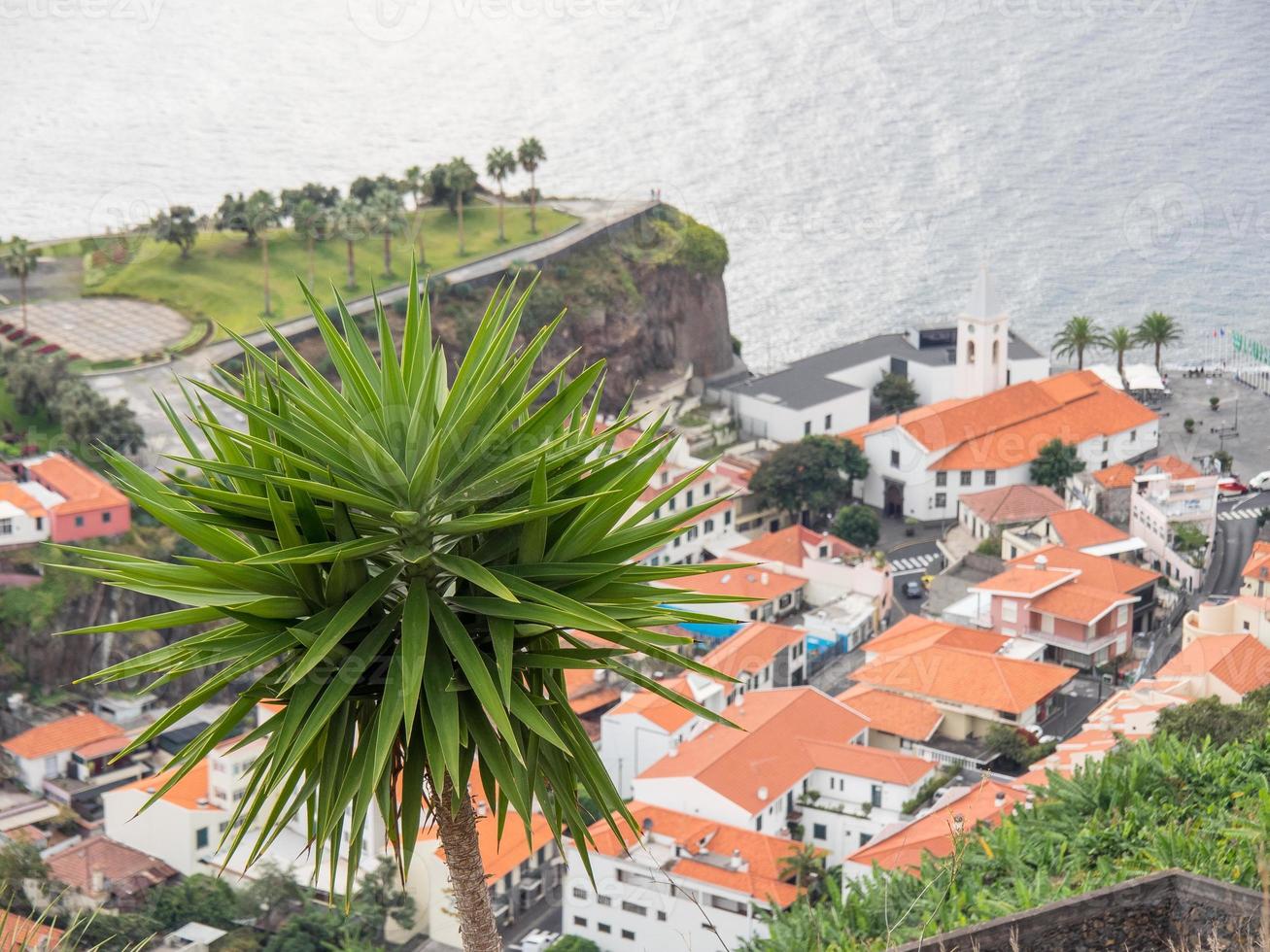 den portugisiska ön madeira foto