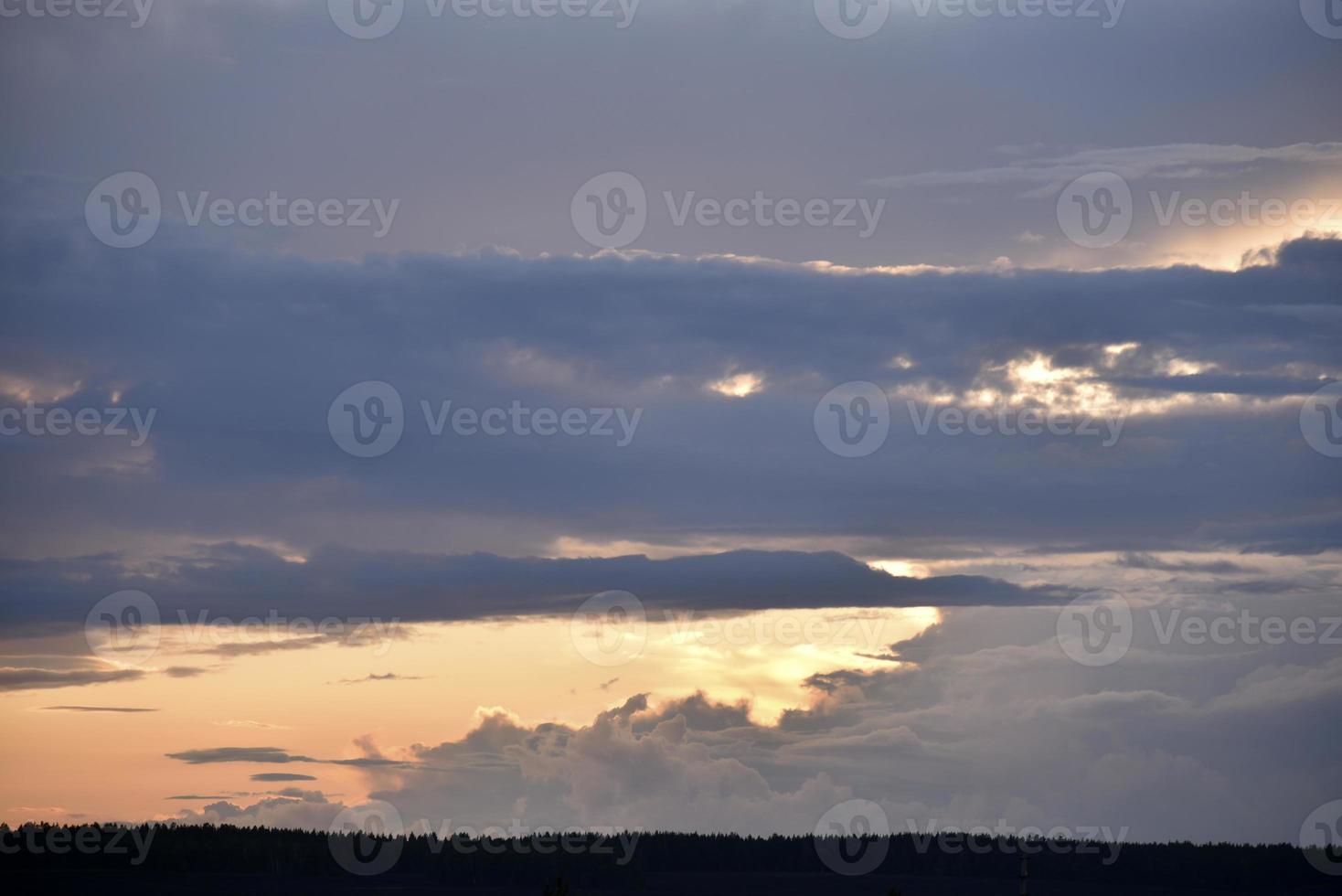 kvällsmolnen är blårosa och skogens horisont foto