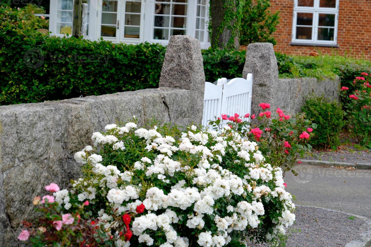 ön bornholm foto