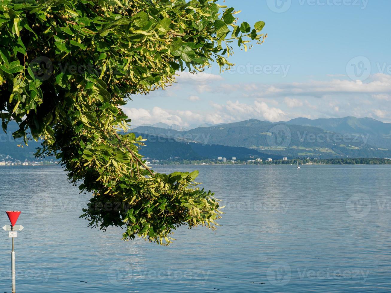 staden lindau vid Bodensjön foto