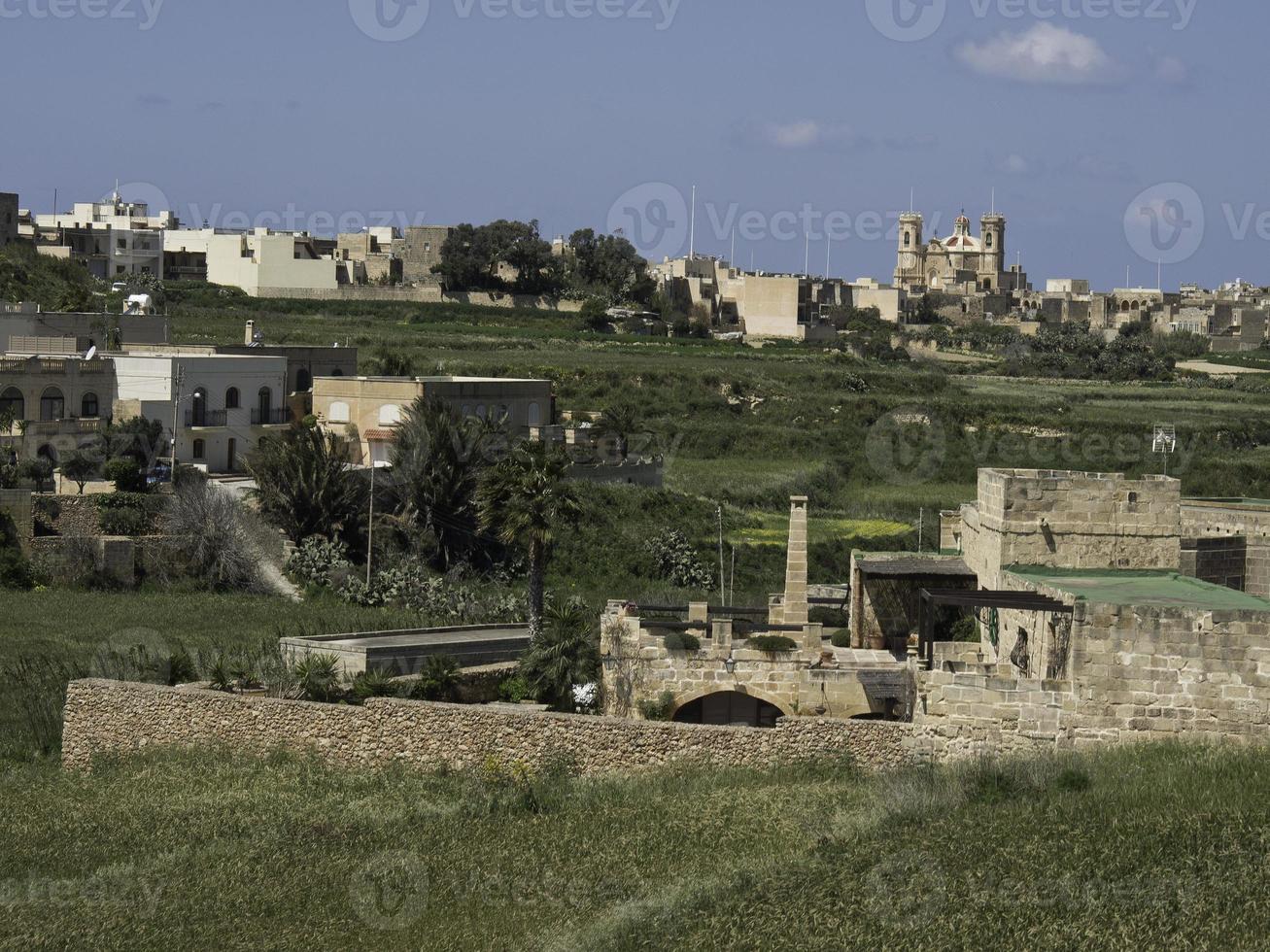 ön Gozo vid Medelhavet foto