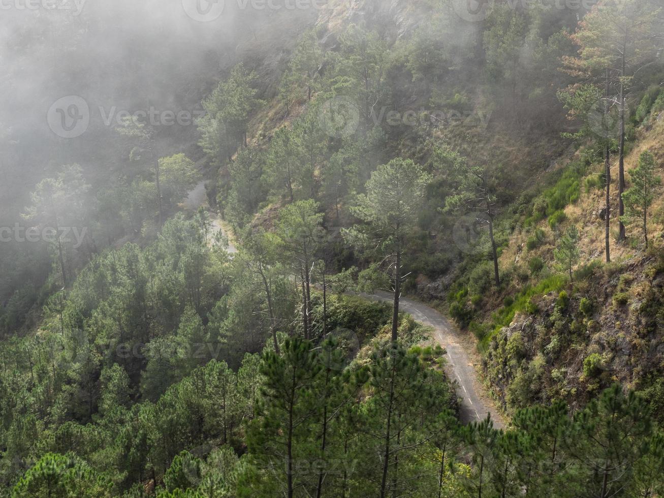 den portugisiska ön madeira foto