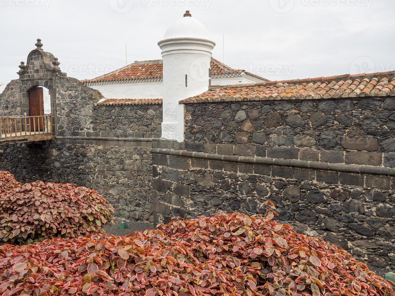 ön la palma foto