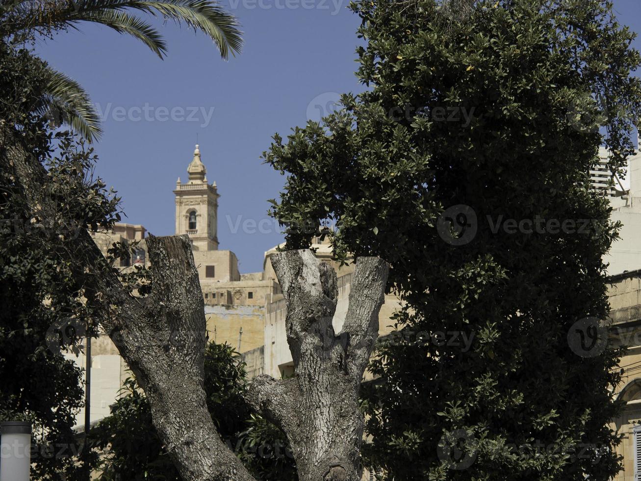 ön Gozo vid Medelhavet foto